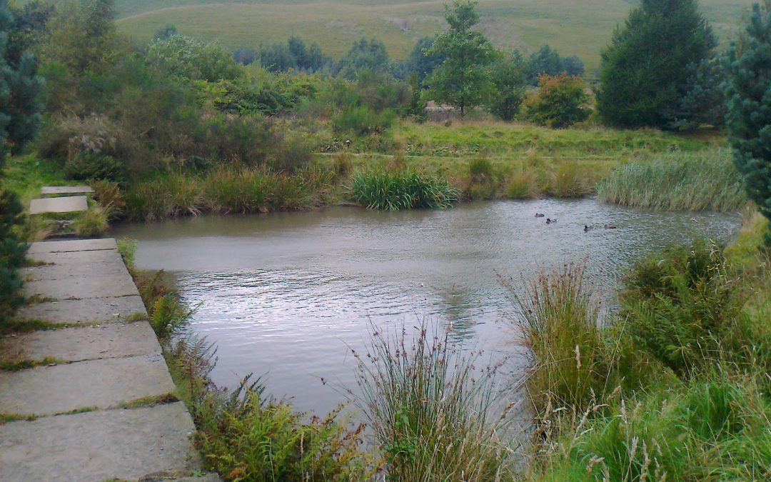 Protected: United Utilities – Cowm Reservoir Catchpit (TEST)